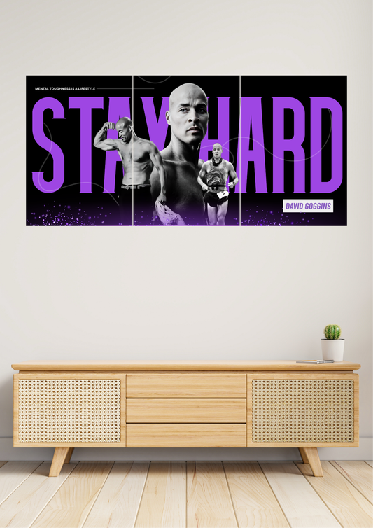 STAY HARD | David Goggins | Set of 3 Split Design Poster