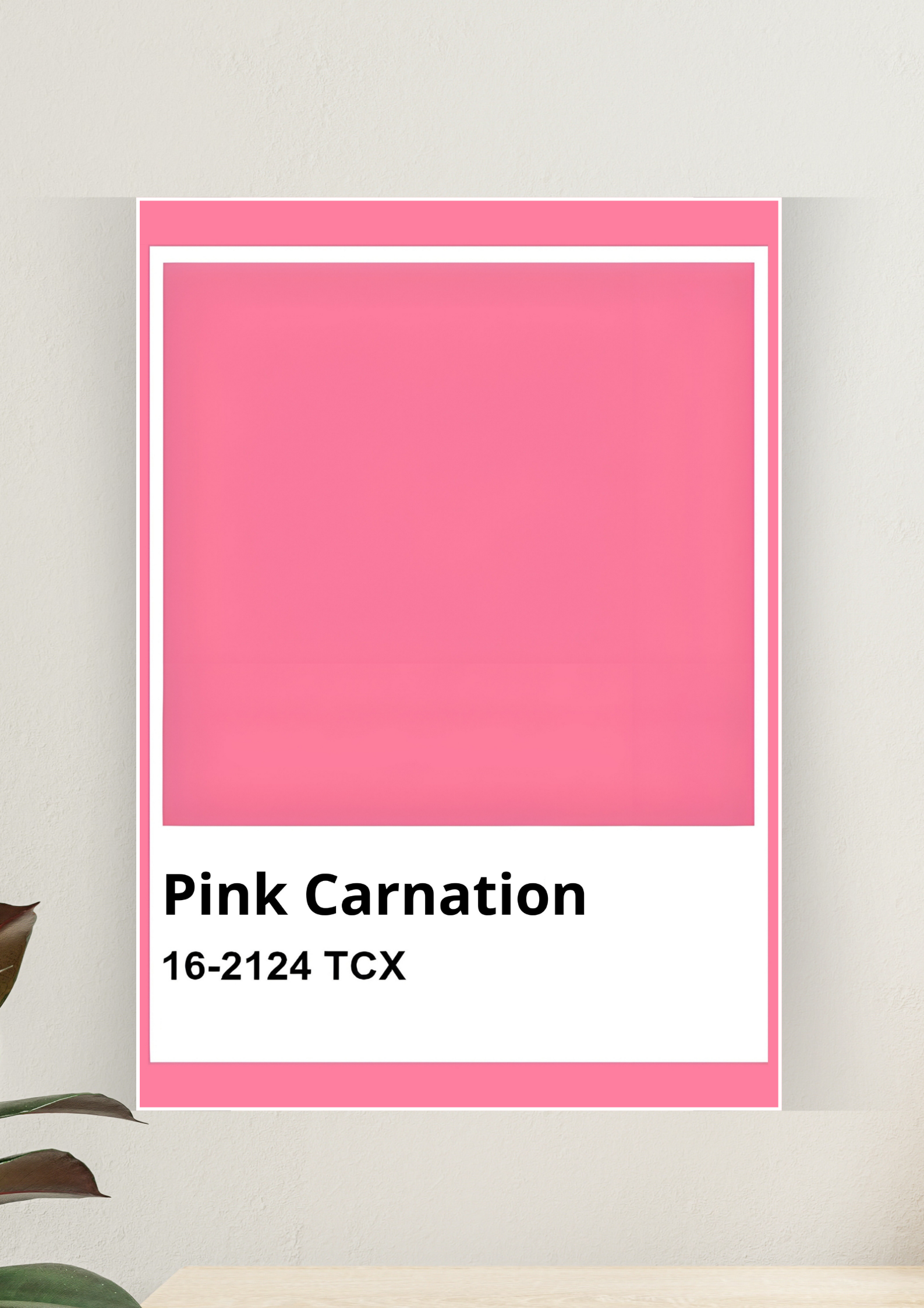 Aesthetic Poster #119 | PINK CARNATION | Aesthetic Wall Poster