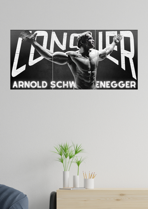 Arnold Schwarzenegger Conquer Poster | Set of 3 Split Design Poster