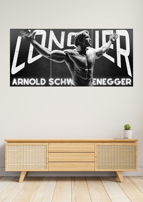 Arnold Schwarzenegger Conquer Poster | Set of 3 Split Design Poster