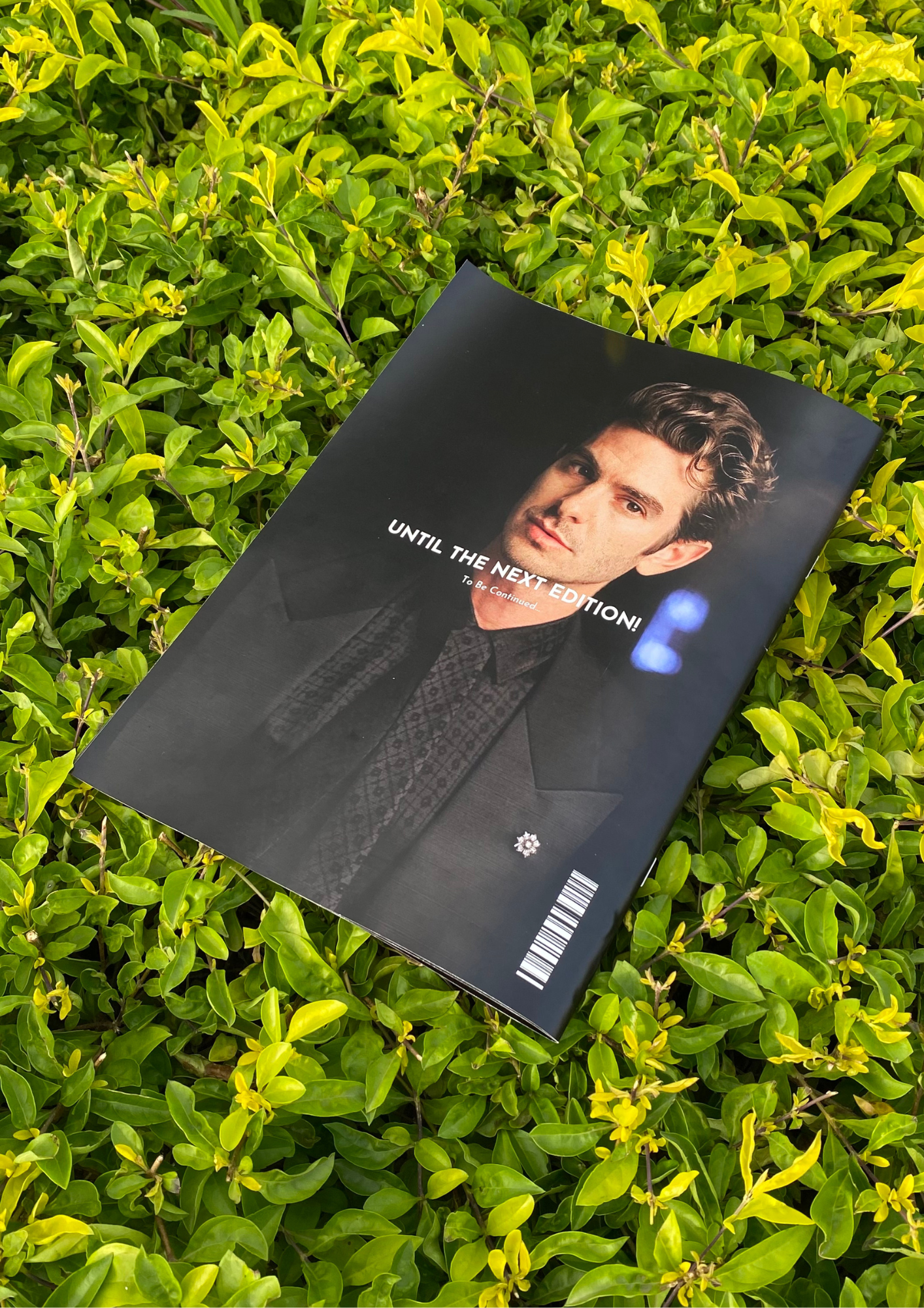 Custom Magazine | Vogue Style | 8 Page Edition